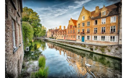 Bruges Swans